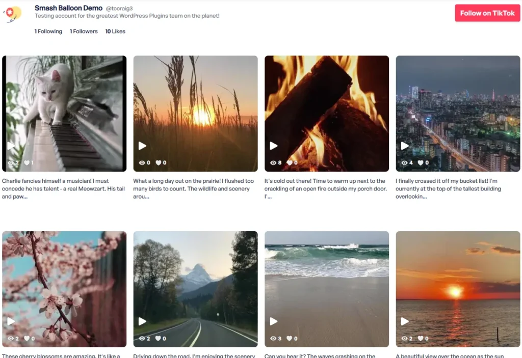 Socials Moe Ahmed linking to Ahmed Group's social media platforms.